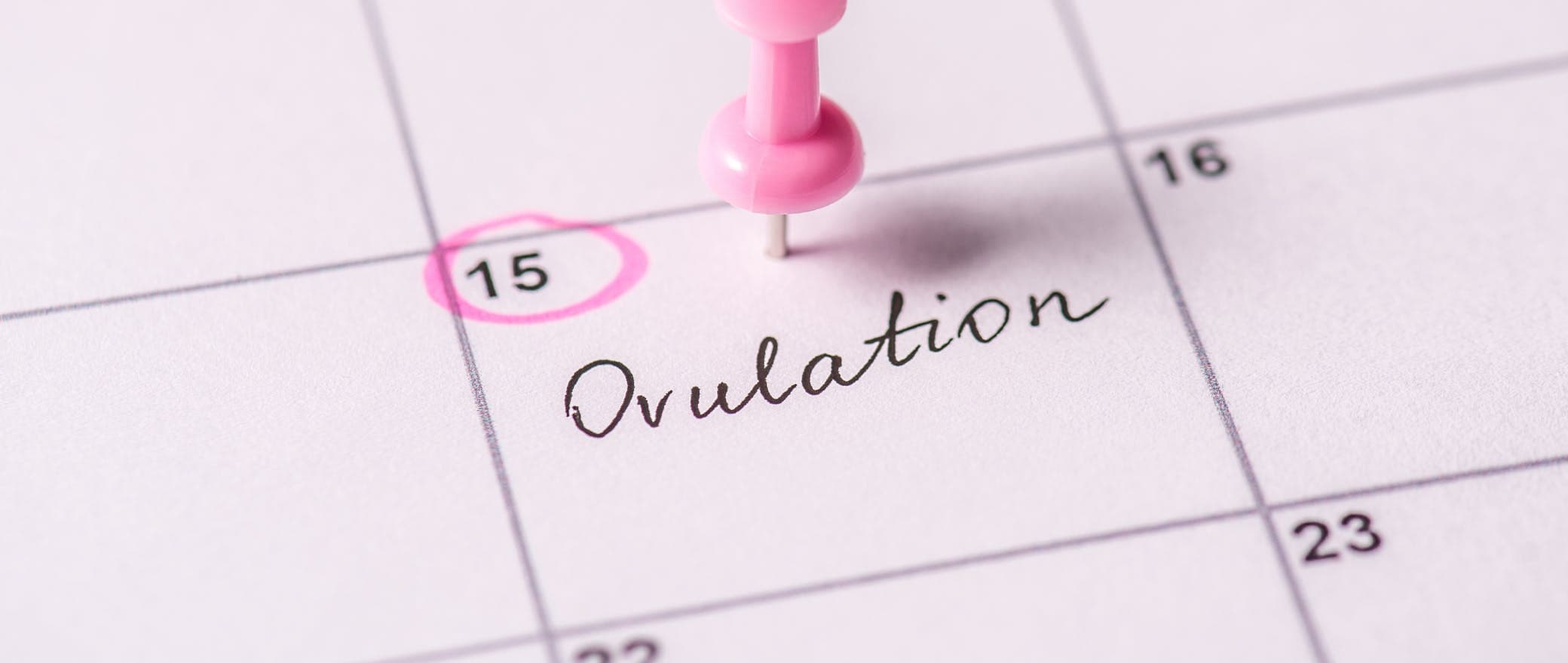 9 Signs of Ovulation: Listen To Your Body