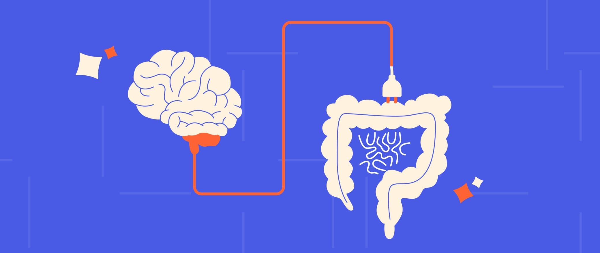 Mind Your Gut: Does Your Gut Affect Your Mood?