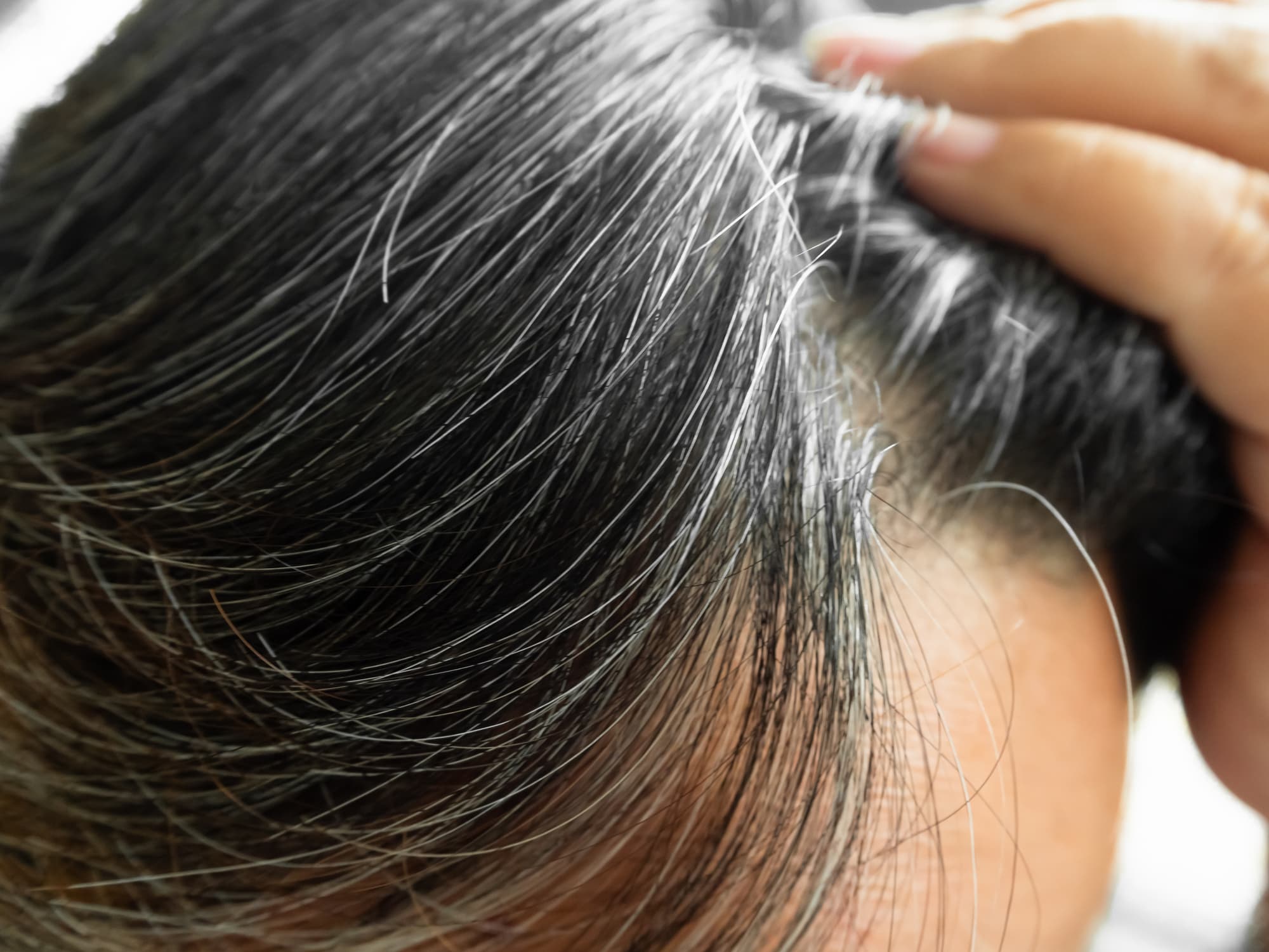 Grey or White: Know The Reason Behind Your Hair Colour