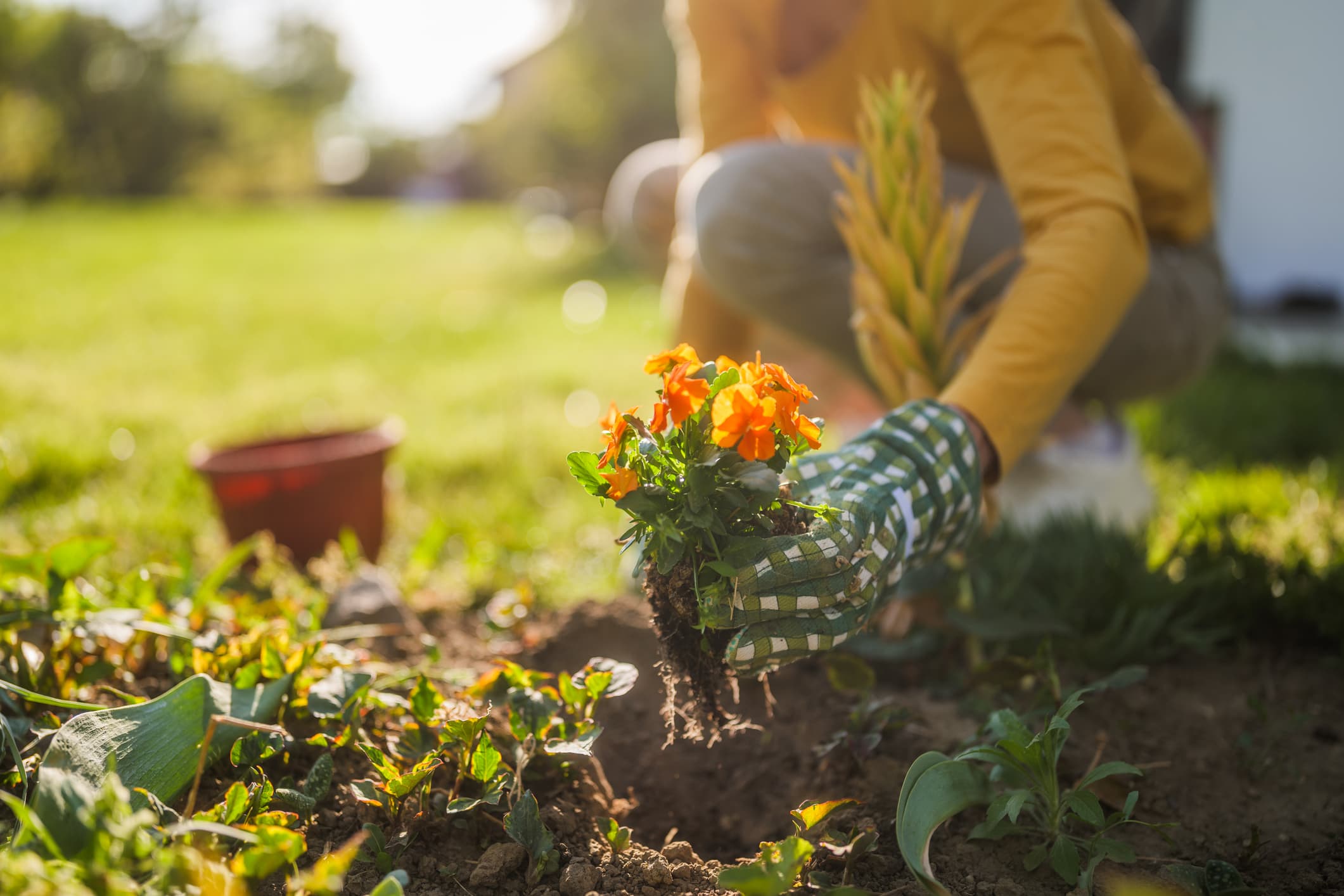 The Green Cure: Gardening for Health and Longevity