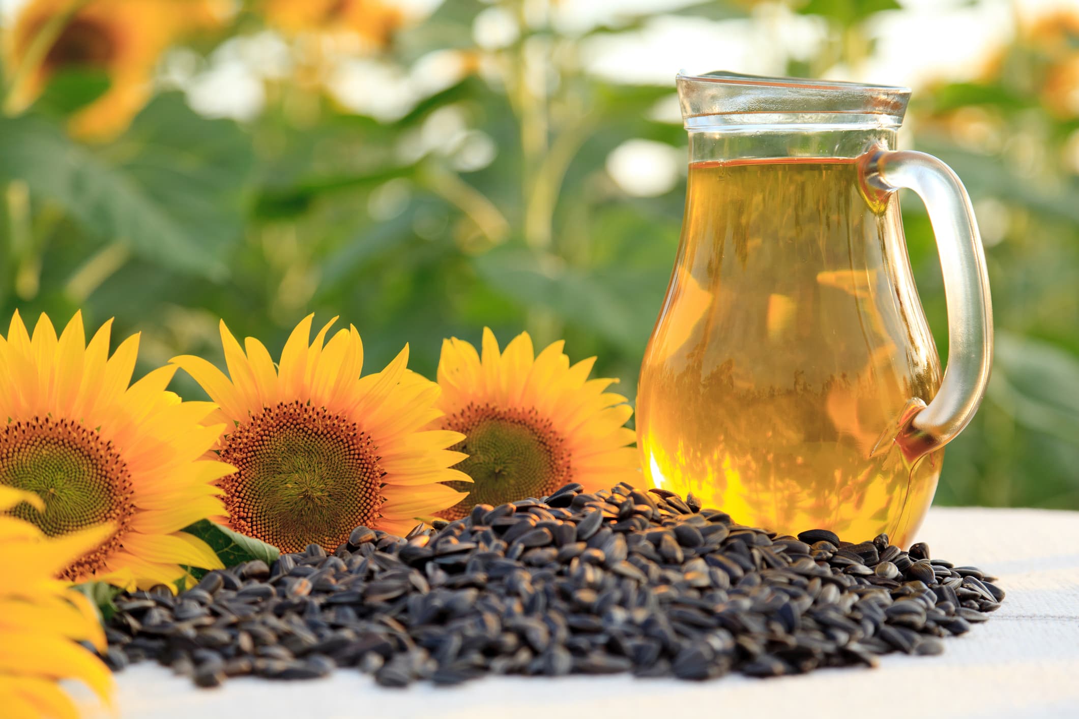 Seed Oils: Are They Really That Bad?