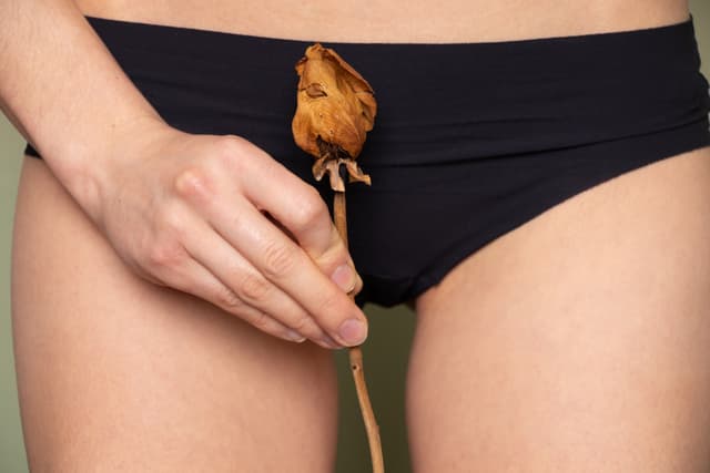 What to Know About Postpartum Vaginal Dryness 