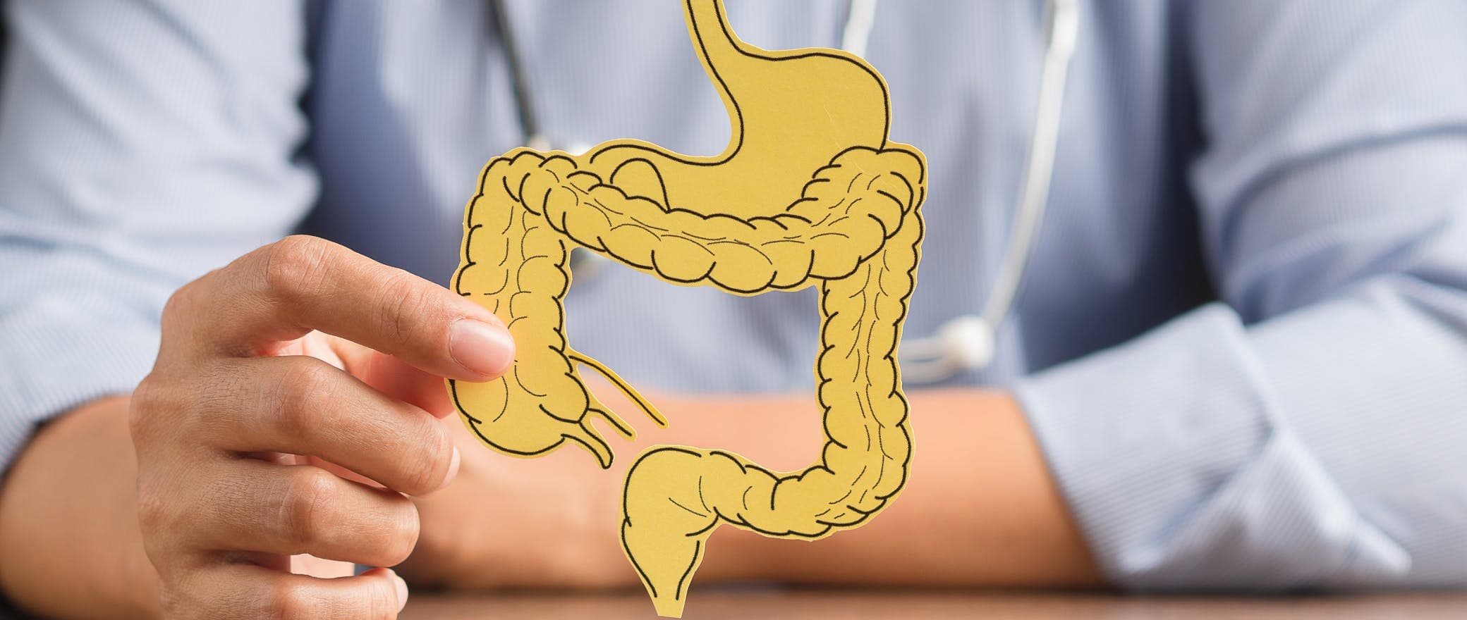Like a Punch to the Gut: Your Comprehensive Guide to Leaky Gut Syndrome