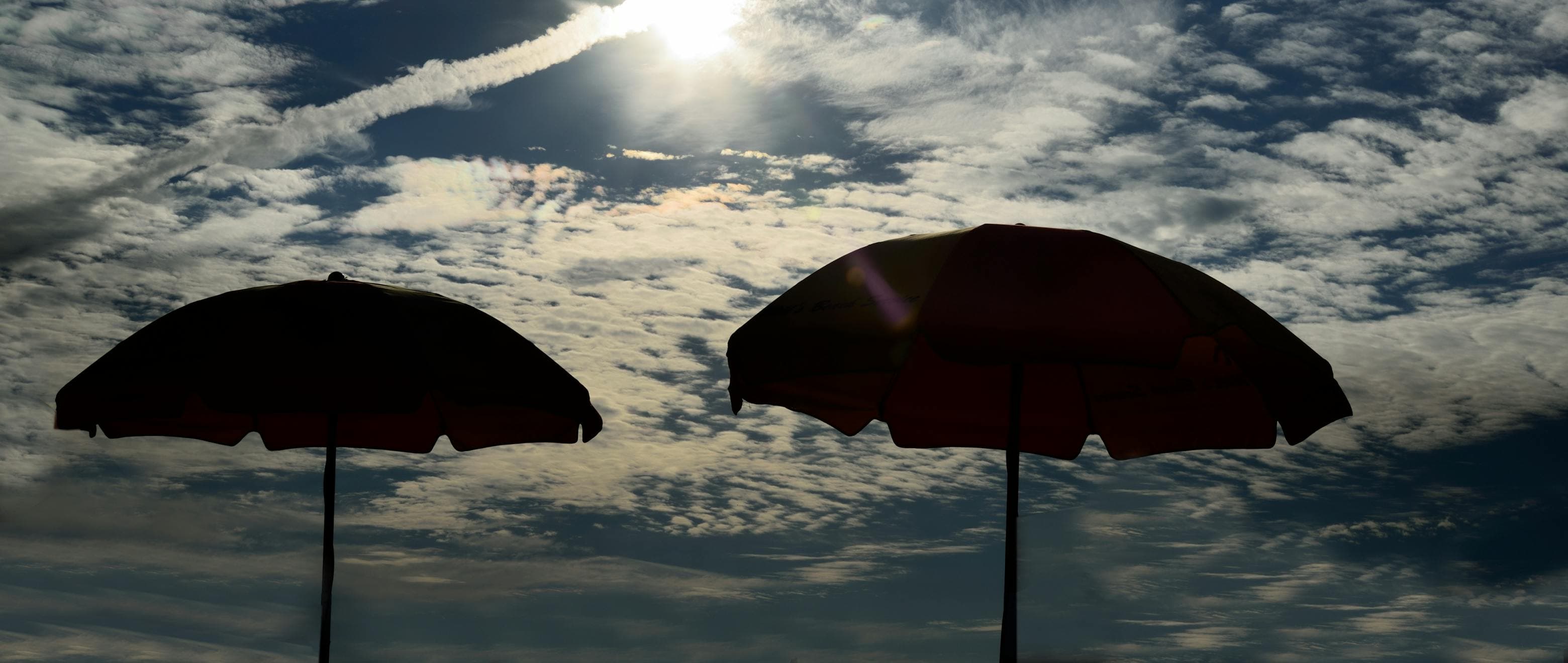 Under My Umbrella: Meet Your Sun Saviour