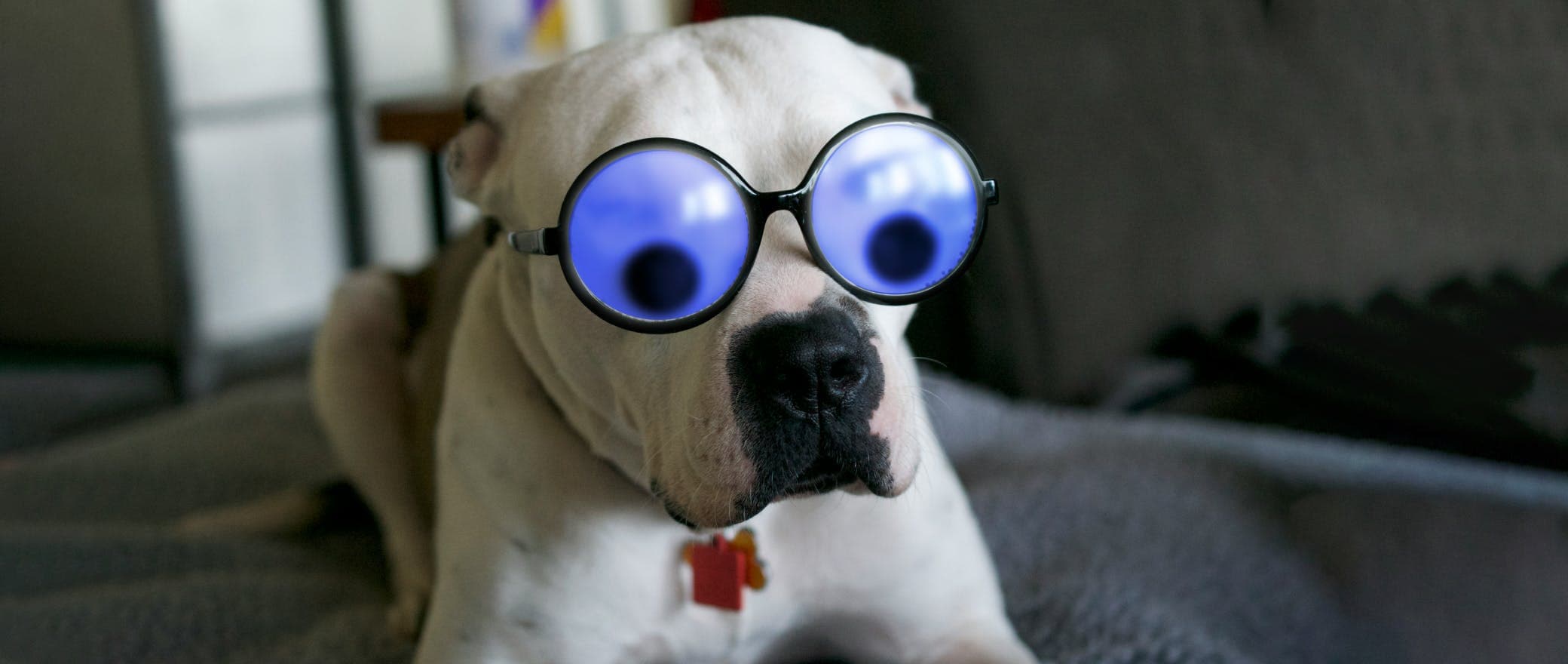 Are Cataracts Clouding Your World?