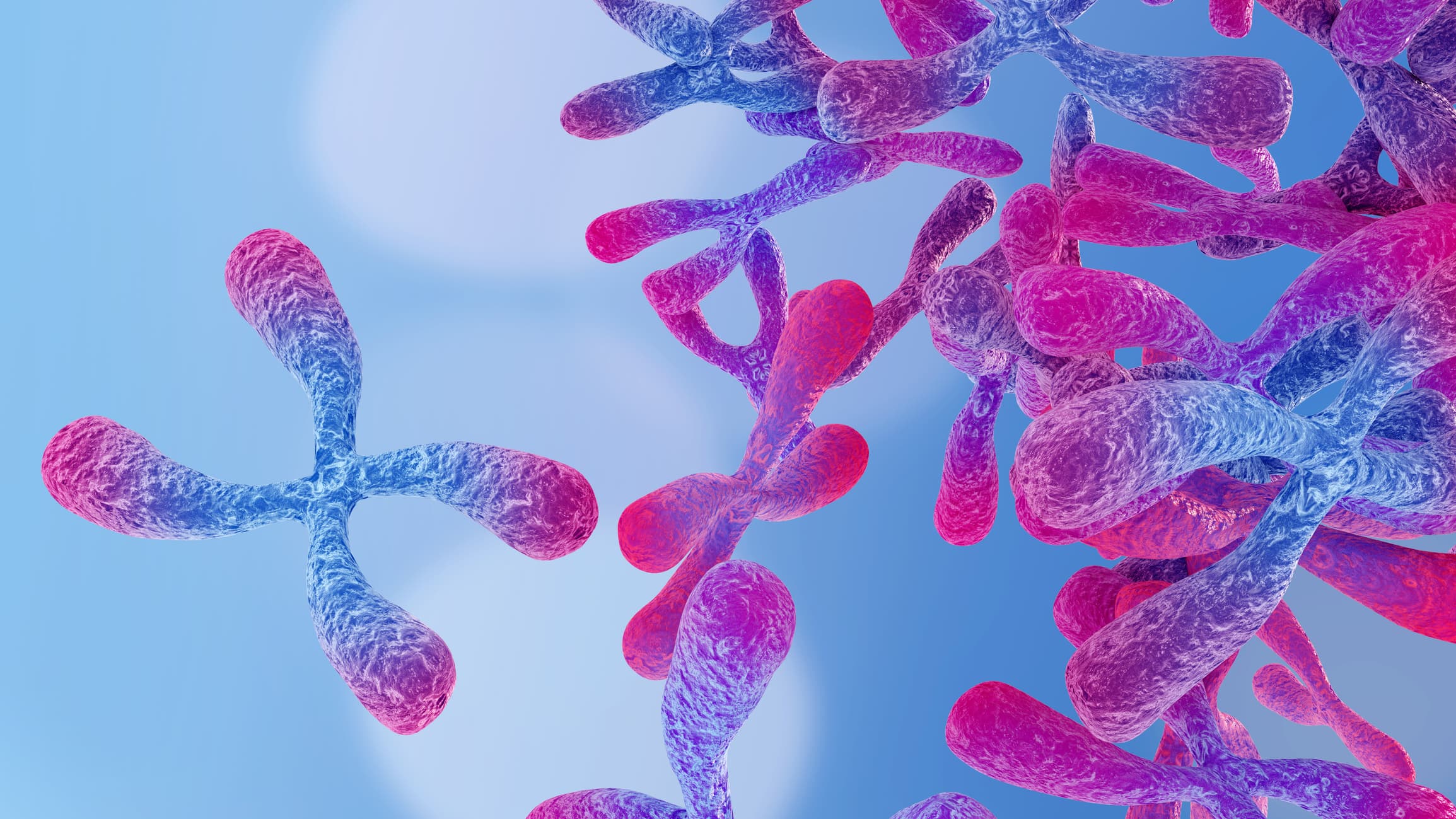Telomeres and Ageing: How Cellular Timekeepers Shape Longevity